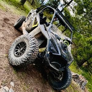 Meet your Posher, Joey